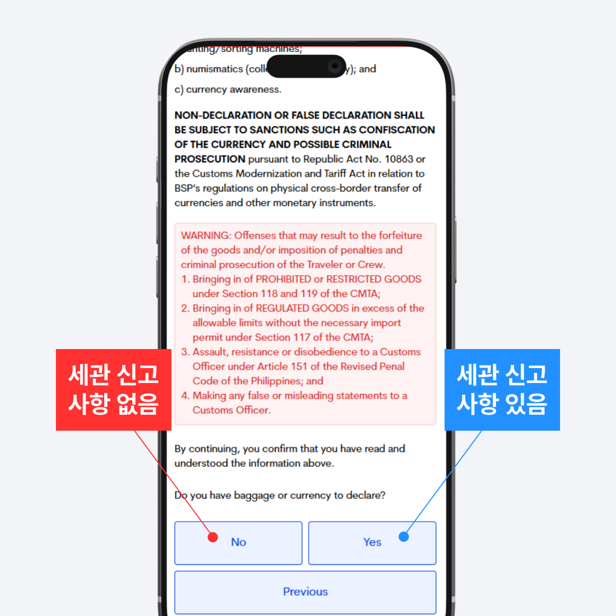 전자 세관 신고 대상 여부 선택 화면