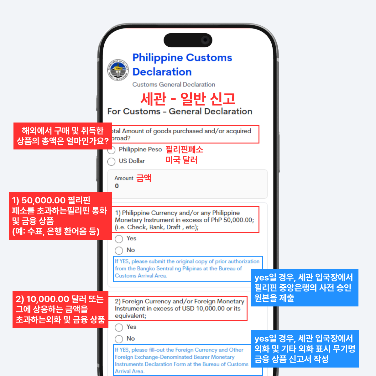 세관 신고 대상 물품 및 통화 안내 화면